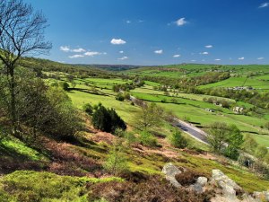 A stock image of Rivelin Valley